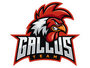 Aarhus Esport