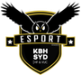 Aarhus Esport