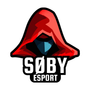 Søby Esport - Raiders